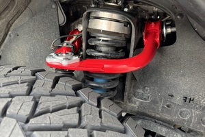 Mojo Tacoma 