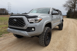 Mojo Tacoma 