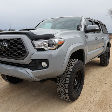 Mojo Tacoma 