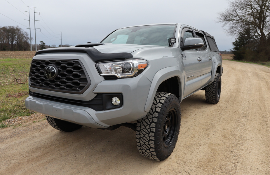Mojo Tacoma 